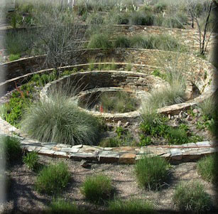 Desert Botanical Garden